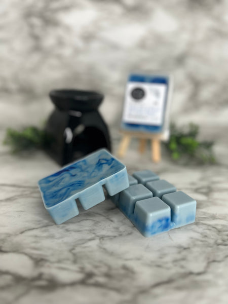 Salt Air & Rust on Your Door Wax Melts